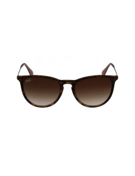 lunettes ray ban erika